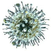Close up 3d render of an influenza-like virus isolated on white