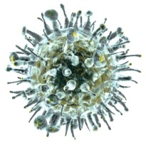 Close up 3d render of an influenza-like virus isolated on white