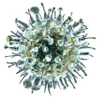 Close up 3d render of an influenza-like virus isolated on white