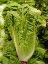 Eurofins Food Testing UK