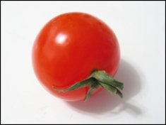 cherry-tomato-pristine-variety