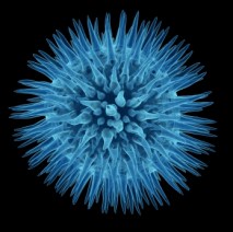 Virusds