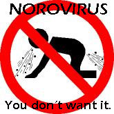 norovirus-2(1)