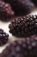 Black_Butte_blackberry