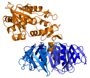 Shiga_toxin_(Stx)_PDB_1r4q