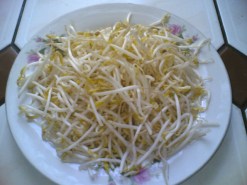 Bean-sprouts