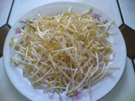 Bean-sprouts