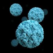 Food Borne Illness - Norovirus -CDC Photo