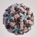 Norovirus Food Safety