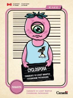 cardcyclosporasme